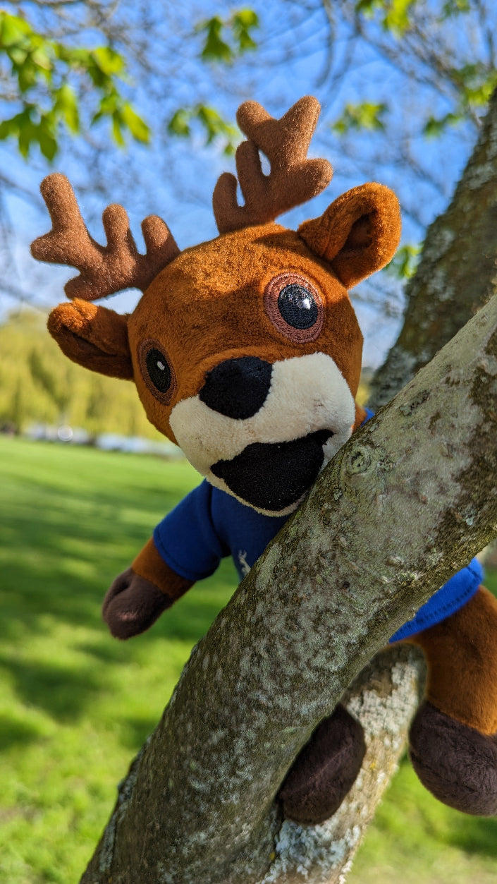Surrey Stag Soft Toy